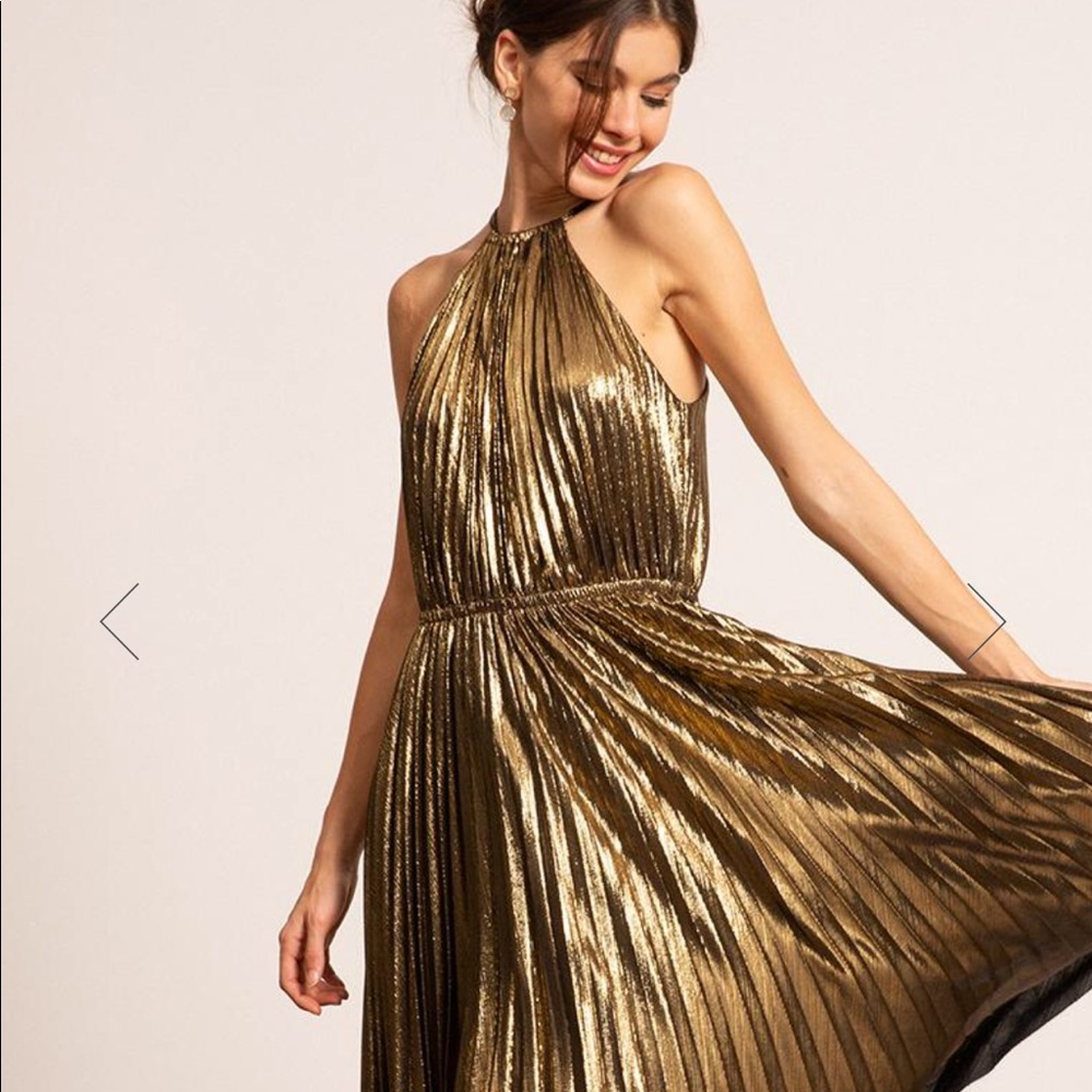 NWT Lucy Paris Christina Pleated Dress